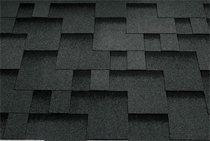 Rocky - Black